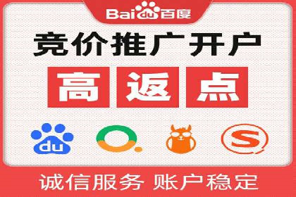 案例研究：SEM推广助力企业业绩增长